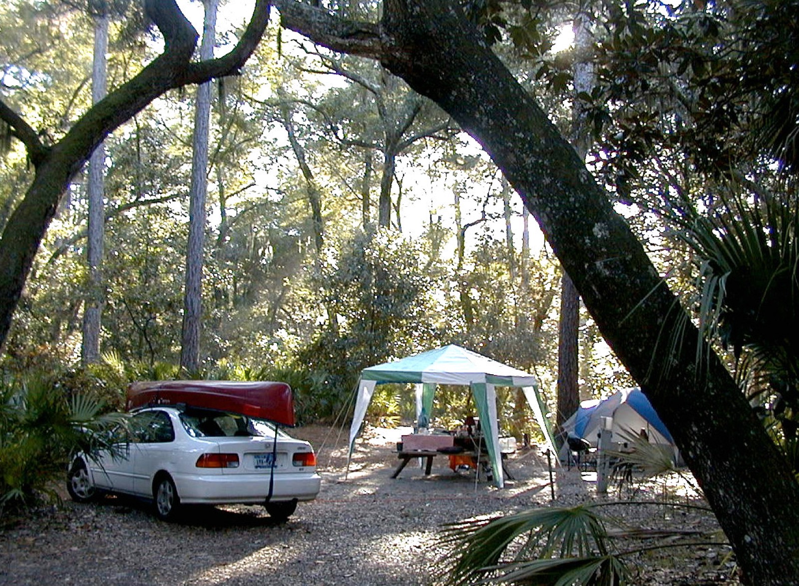 A car, a tent and a canopy at a forested campsite — the classic car-camping setup that the new generation of Chinese NEV owners is now reimagining, with the car itself doing much of the work a generator and an RV would once have done.