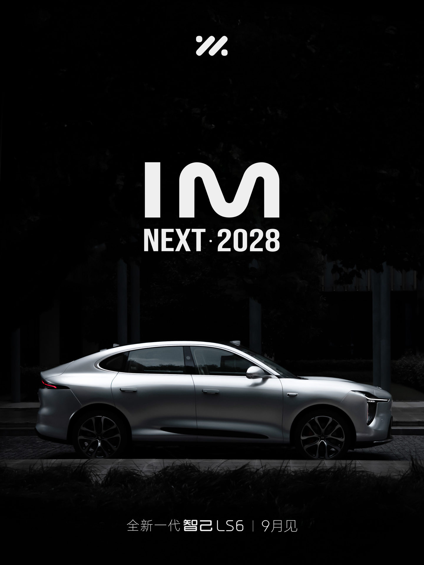 IM Motors LS6
